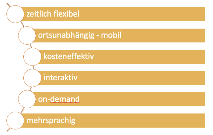 Vorteile microlearning